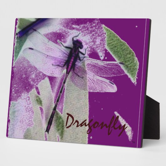Abstrakte Dragonfly Art Fotoplatte (Seite)