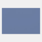 Abstrakte elegante Herbstkürbis dustige blaue Blät Geschenkpapier Set (Vorderseite 2)