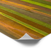 Abstrakte Eukalyptus-Rinde Poster (Ecke)