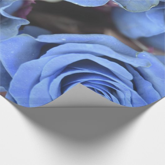 Abstrakte Farbenfrohe Blaue Rose Park/Garten Geschenkpapier (Ecke)