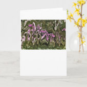 Abstrakte Farbstudie 466, Karte (Gelbe Blume)