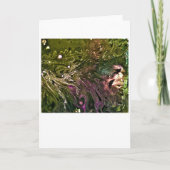 Abstrakte Farbstudie 499, Karte (Vorderseite)