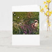 Abstrakte Farbstudie 499, Karte (Gelbe Blume)