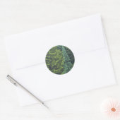 Abstrakte Fichte und Balsamtanne Runder Aufkleber (Umschlag)