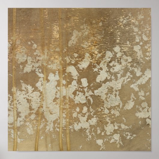 Abstrakte Goldmalerei mit Silberfalten Poster (Vorne)