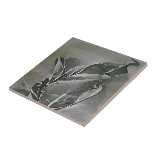 Abstrakte Grafikkunst, geätzt aus Olivenblättern Fliese (Seite)