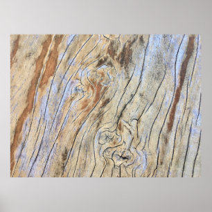 Abstrakte grafische Darstellung der Holzstruktur i Poster