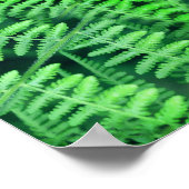 Abstrakte Grüne Blattfarne Poster (Ecke)