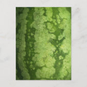Abstrakte Grüne Rind einer Wassermelone Postkarte (Vorderseite)