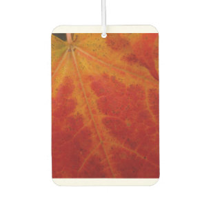 Abstrakte Herbst-Naturfotografie des roten Ahornbl Autolufterfrischer