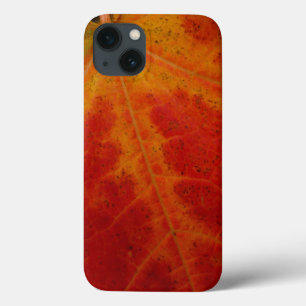 Abstrakte Herbst-Naturfotografie mit rotem Ahornbl Case-Mate iPhone Hülle