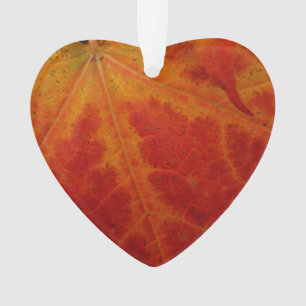 Abstrakte Herbst-Naturfotografie mit rotem Ahornbl Ornament