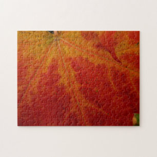 Abstrakte Herbst-Naturfotografie mit rotem Ahornbl Puzzle