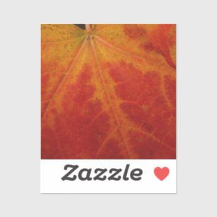 Abstrakte Herbstfotografie aus dem Ahornleaf Aufkleber