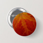 Abstrakte Herbstfotografie aus dem Ahornleaf Button (Vorne & Hinten)