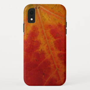 Abstrakte Herbstfotografie aus dem Ahornleaf Case-Mate iPhone Hülle