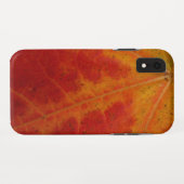 Abstrakte Herbstfotografie aus dem Ahornleaf Case-Mate iPhone Hülle (Rückseite (Horizontal))