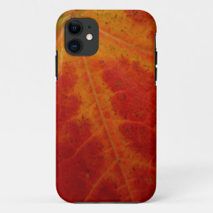 Abstrakte Herbstfotografie aus dem Ahornleaf Case-Mate iPhone Hülle