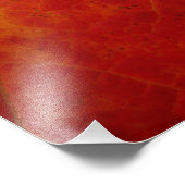 Abstrakte Herbstfotografie aus dem Ahornleaf Fotodruck (Ecke)