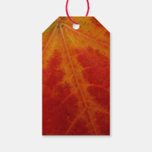 Abstrakte Herbstfotografie aus dem Ahornleaf Geschenkanhänger