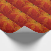 Abstrakte Herbstfotografie aus dem Ahornleaf Geschenkpapier (Ecke)