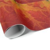 Abstrakte Herbstfotografie aus dem Ahornleaf Geschenkpapier (Rolleneckpunkt)