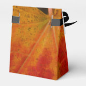 Abstrakte Herbstfotografie aus dem Ahornleaf Geschenkschachtel (Rückseite)