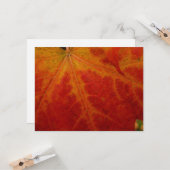 Abstrakte Herbstfotografie aus dem Ahornleaf Karte (Vorderseite/Rückseite Beispiel)