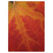 Abstrakte Herbstfotografie aus dem Ahornleaf Klemmbrett (Rückseite)