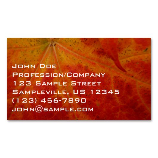 Abstrakte Herbstfotografie aus dem Ahornleaf Magnetische Visitenkarte (Vorderseite)