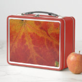Abstrakte Herbstfotografie aus dem Ahornleaf Metall Brotdose (Beispiel)