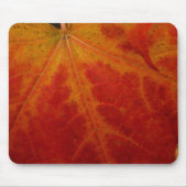 Abstrakte Herbstfotografie aus dem Ahornleaf Mousepad (Vorne)