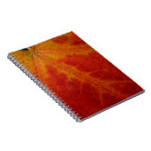 Abstrakte Herbstfotografie aus dem Ahornleaf Notizblock (Rechte Seite)