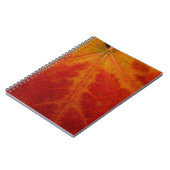 Abstrakte Herbstfotografie aus dem Ahornleaf Notizblock (Linke Seite)