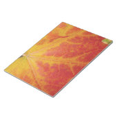 Abstrakte Herbstfotografie aus dem Ahornleaf Notizblock (angewinkelt)