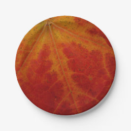 Abstrakte Herbstfotografie aus dem Ahornleaf Pappteller