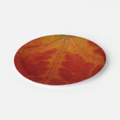 Abstrakte Herbstfotografie aus dem Ahornleaf Pappteller (Schrägansicht)