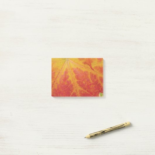 Abstrakte Herbstfotografie aus dem Ahornleaf Post-it Klebezettel (Auf Schreibtisch)