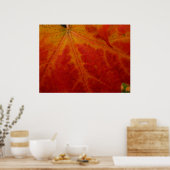Abstrakte Herbstfotografie aus dem Ahornleaf Poster (Küche)