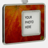 Abstrakte Herbstfotografie aus dem Ahornleaf Rahmen-Ornament Silber (Rechts)