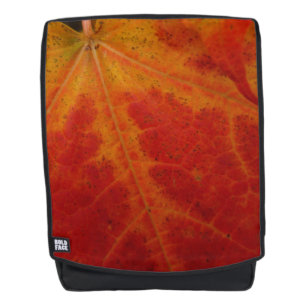 Abstrakte Herbstfotografie aus dem Ahornleaf Rucksack