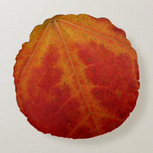 Abstrakte Herbstfotografie aus dem Ahornleaf Rundes Kissen