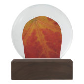 Abstrakte Herbstfotografie aus dem Ahornleaf Schneekugel (Rückseite)