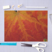 Abstrakte Herbstfotografie aus dem Ahornleaf Seidenpapier (Handwerk)