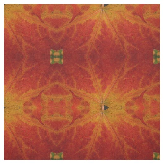 Abstrakte Herbstfotografie aus dem Ahornleaf Stoff (Muster)