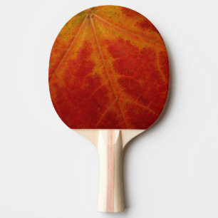 Abstrakte Herbstfotografie aus dem Ahornleaf Tischtennis Schläger