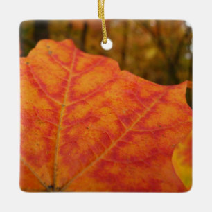 Abstrakte Herbstnatur in Orange und Rotem Ahornblä Keramikornament