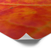 Abstrakte Herbstnatur in Orange und Rotem Ahornblä Poster (Ecke)