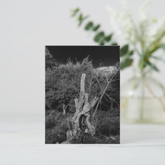 Abstrakte Horror-Kunst - Puppen im Totenbaum Postkarte (Stehend Vorderseite)