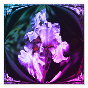 Abstrakte Irisblende Blume Art 8x8 Fotodruck
